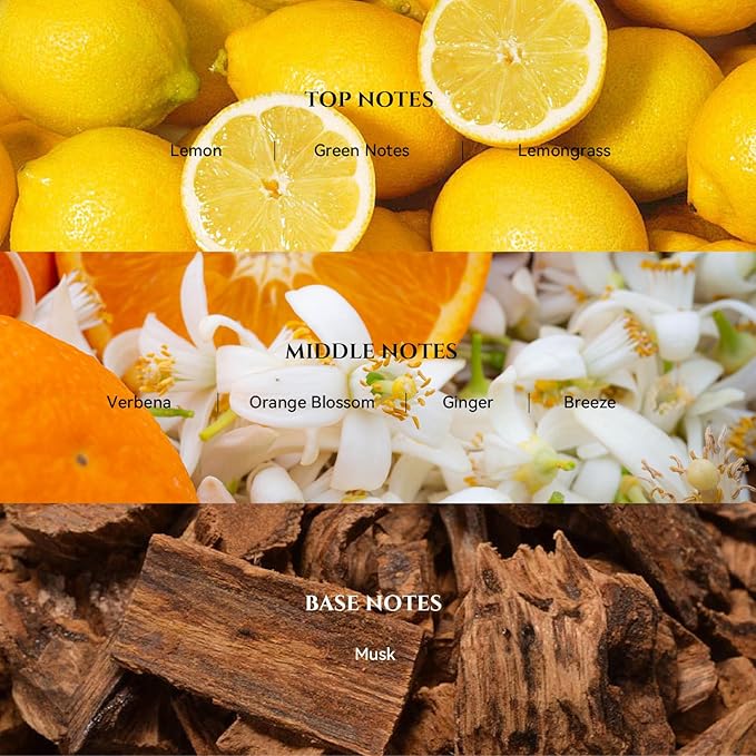AROMADD 24K Celestia Diffuser Oil Inspired by Luxury Hotel Scent 3.38 Fl Oz (100ml), Aroma Diffuser & Hotel Fragrance Diffuser Oil, Essential Oil Diffuser for Aromatherapy, Long-Lasting - Bloomnest