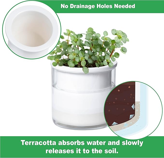 Phoenix Vine 4 Inch Self Watering Planter Pot, Design White Terracotta Pots for Plants, Indoor Cylinder Terra Cotta Pots with Glass Vase, Set of 4, 51-B-E-4 - Bloomnest