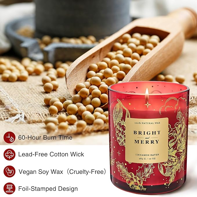 M&SENSE Holiday Scented Candle Gift for Women and Men - Cinnamon Scent, 10 oz Soy Wax, Birthday,Holiday,Christmas,New Year Gift - Bloomnest