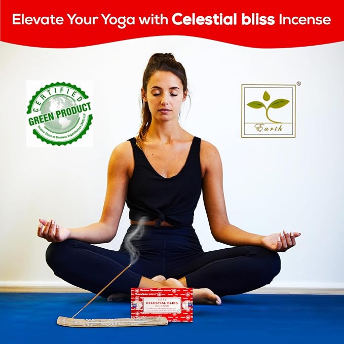 Satya Celestial Bliss Incense Sticks, Satya Bng (Bangalore) Insenses 15gmx12 Pack with Raajsee Incense Holder Bundle, Satya Nagchampa Natural Incense - Bloomnest