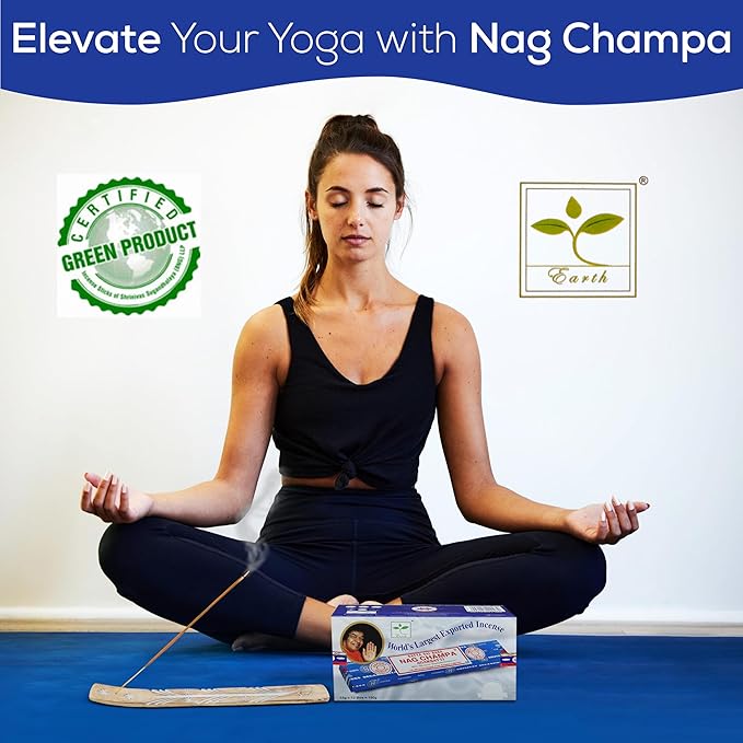 Satya Nagchampa Incense Sticks, Satya Bng (Bangalore) Insenses 15gmx12 Pack with Raajsee Incense Holder Bundle, Satya Nagchampa Natural Incense - Bloomnest
