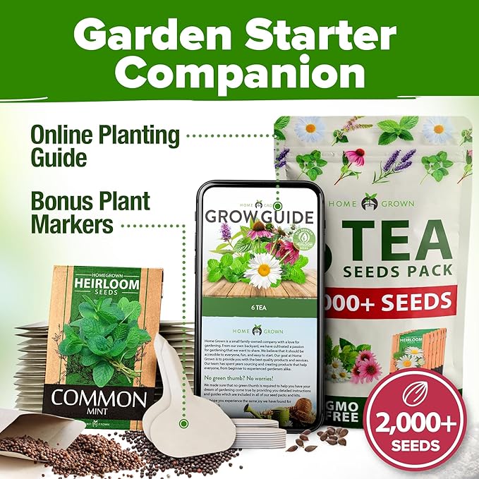 HOME GROWN Medicinal Herb Seeds Vault – 2,000+ Seeds, 6 𝗡𝗢𝗡-𝗚𝗠𝗢 𝗨𝗦𝗔 Heirloom Varieties for Indoor & Outdoor Garden – Lavender, Chamomile,Mint,Lemon Balm,Peppermint,Echinacea +Garden Markers