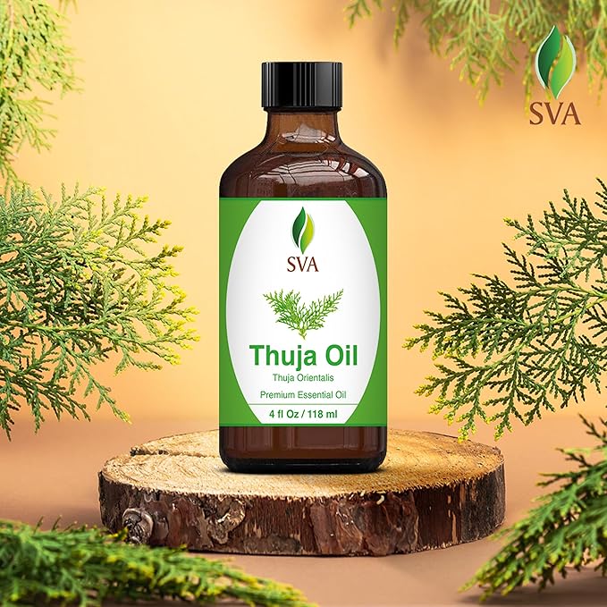 SVA Thuja Essential Oil – 4 Fl Oz – 100% Natural Thuja Oil - for Diffuser, Hair Care, Face, Skin Care, Aromatherapy, Scalp and Body Massage, Soap and Candle Making – with Dropper - Bloomnest