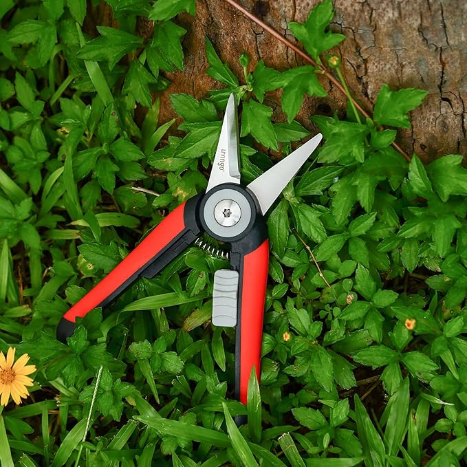 LIVINGO Precision Garden Pruning Shears - Straight Blade Floral Scissors with Non-Slip Handle for Trimming, 8.5" Gardening Clippers for Flowers, Herbs, Bonsai & Indoor Plants - Bloomnest