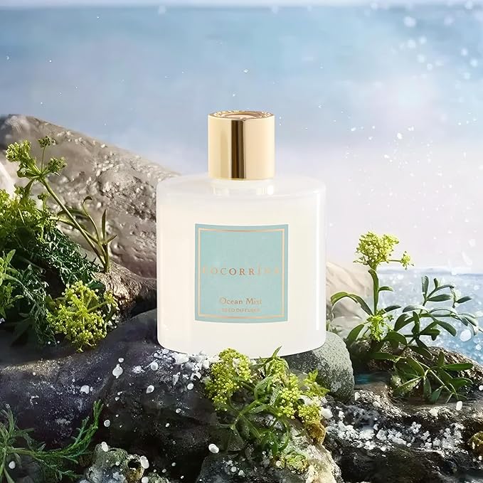 COCORRÍNA Reed Diffuser - Ocean Mist 6.7 Fl.oz Reed Diffuser Set with Sticks & Preserved Baby's Breath, Reed Diffuser for Home Bathroom Shelf Decor - Bloomnest
