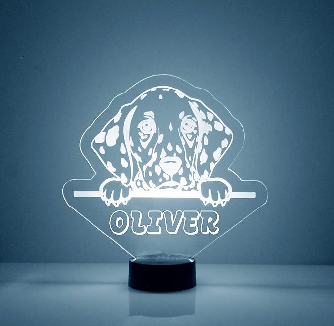Custom Dog LED Sign Night Light Lamp with Remote, Light Up Display with Personalized Name or Image, Customized, Made in The USA, Clear Acrylic Home Decor Design with 16 Colors, 4 Modes (Dalmation) - Bloomnest