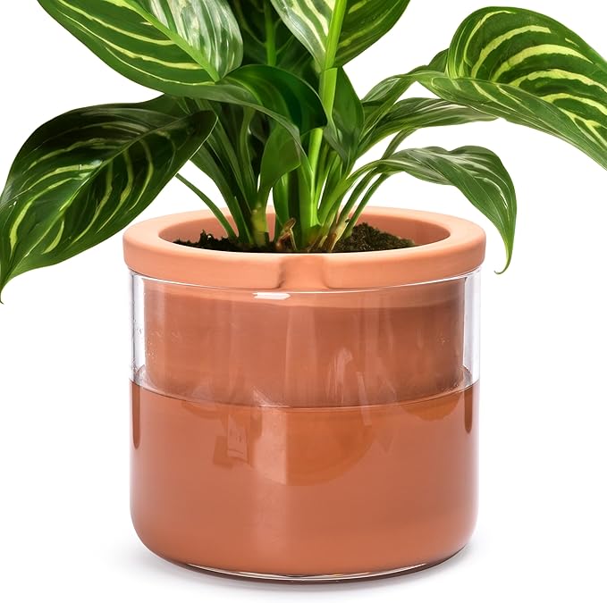 Phoenix Vine 8 Inch Self Watering Planter Pots, Design White Terracotta Pots for Plants, Indoor Cylinder Terra Cotta Pots with Glass Vase, Set of 1, 51-A-H-1 - Bloomnest
