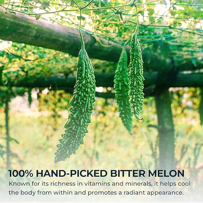 Bitter Melon Tea Bags - 70 Count (+5 Tea Bags), 4.2 oz, Bamboo Tong Included, Pure Bitter Gourd Herbal Blend for Refreshing, Digestion & Inner Health Support, No Sugar, No Caffeine - Bloomnest