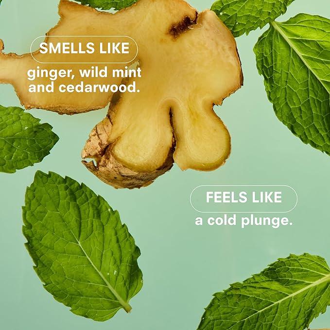 Boy Smells Mint Candle - 8.5 oz Fancy Candle with Ginger, Wild Mint, and Cedarwood- Up to 50-Hour Burn - Cotton Wick - Bloomnest
