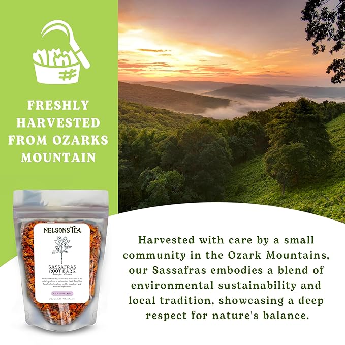 Nelson’s Tea - Sassafras Root Bark Cut & Sifted - Caffeine Free - Classic Root Beer Herbal Blend Tea, Premium Sassafras Albidum Aroma for Brewing, Mixing & Wellness, Freshly Packed Resealable Bag -4oz - Bloomnest