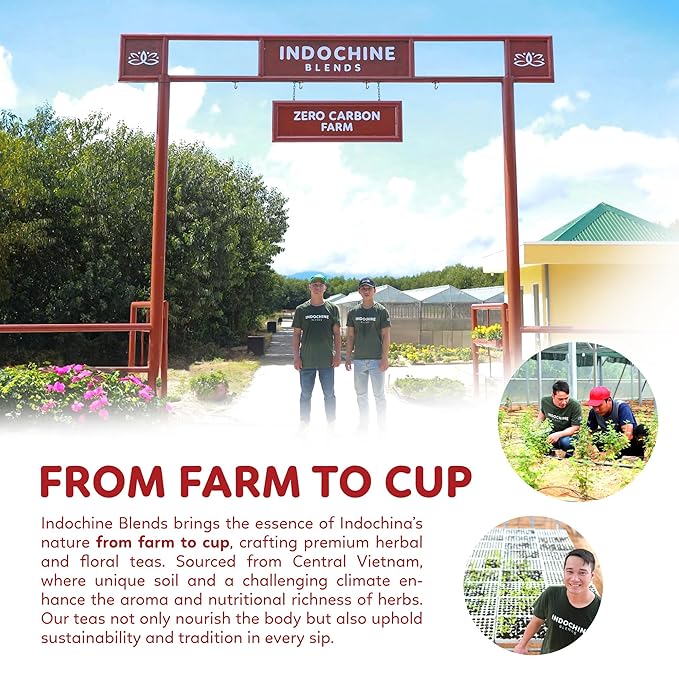 Indochine Blends Loving Tea | Hibiscus Tea Bags | Hibiscus & Organic Rosemary, Black Tea, Rose | Sugar-Free, Caffeine-Free Herbal Tea for Relaxation | 4.4 oz | 50 Corn-Fiber Pyramid Bags - Bloomnest