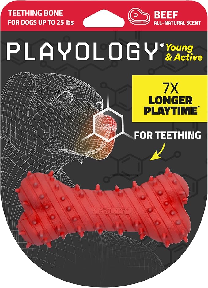 Playology Dog Toys | Puppy Toy Teething Bone Designed for Young & Active Dogs | Small Beef Scented Toy Made from Non Toxic Materials - Bloomnest