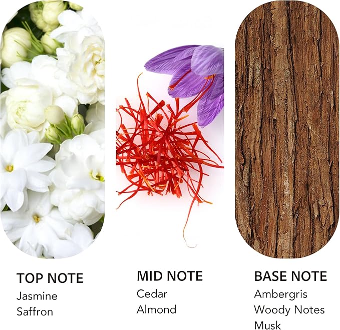 Luxury Hotel Scent Baccarat Diffuser Oil Waterless Essential Aromatherapy for Cold Air & Car Diffusers – Long Lasting Refill for Large Room & Home - Signature Saffron Cedar(200ml/6.76Fl oz) - Bloomnest