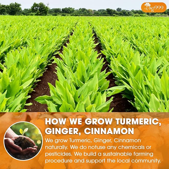 TOG999, Premium 12oz/200 cups Ginger Turmeric Cinnamon Loose Leaf Herbal Tea. Improve Digestion, Support Brain, Weight, Skin and Sleep. Premium Quality Spiced Blend. No Sugar, No Caffeine, No Gluten, Vegan. - Bloomnest