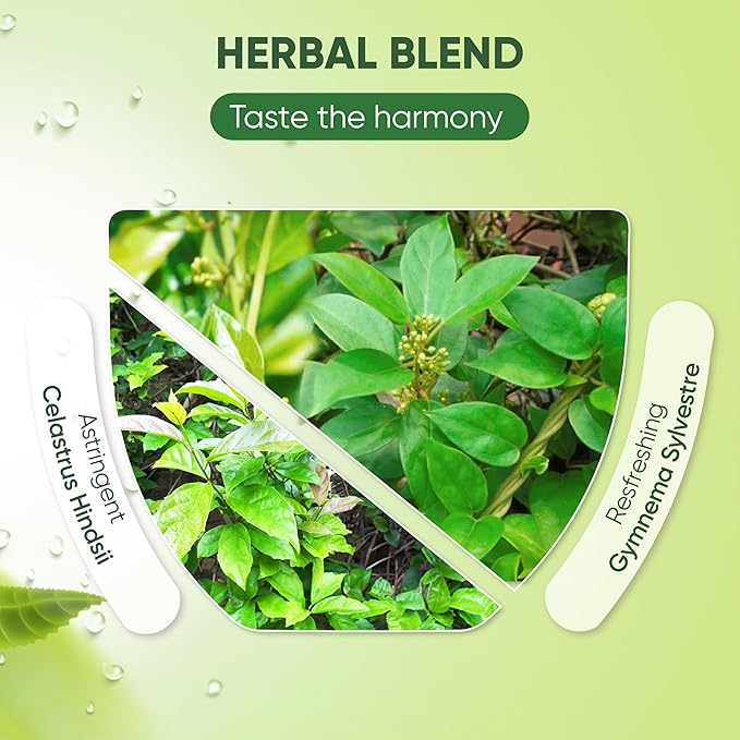 NMPT Dried Gymnema Sylvestre Leaf Tea, Celastrus Hindsii, 100% Hand Pick, Organic Herbal Tea, 40 Count, Freeze Drying, Gluten Free, Dairy Free, No Sugar Added, Energy Boost & Health Support - Bloomnest