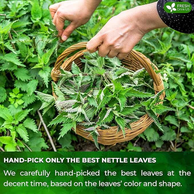 FreshDrinkUS, Premium 135 Nettle Leaf Tea Bags, 100% Natural & Pure, Stinging Nettle Leaf Tea, Nettle Leaf Tea, Burn Nettle, Stinging Nettle, Nettle Tea, Stinger Tea, No Sugar/ Caffeine & Gluten, Vegan - Bloomnest
