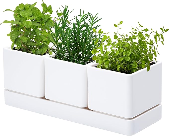 D'vine Dev Herb Garden Planter Set, Plastic Plant Pots with Drainage and Saucer, Indoor Succulent Cactus Vegetable Pot for Windowsill, Garden Balcony, White, Set of 1, 76-V-A-1 - Bloomnest