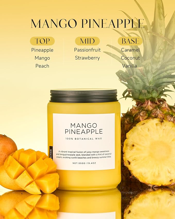 M&SENSE Mango Pineapple Scented Candle, 19.4oz Non Toxic Natural Soy Wax 110 Hours Long Lasting Burn Fruit Scent Summer Gifts for Housewarming, 2 Wick Aromatherapy Candle for Women Men Family Friends - Bloomnest