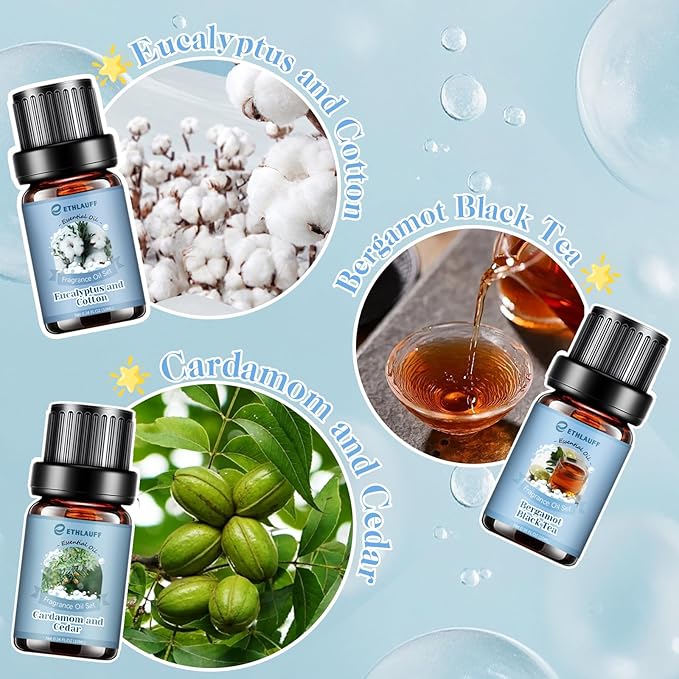 Clean Essential Oils Set, Laundry Collection Essential Oils Set, Pack of 6 Fragrance Oil for Diffuser for Home, Use with Wool Dryer Balls Scents - Fresh Linen, Clean Breeze, Eucalyptus and Cotton - Bloomnest