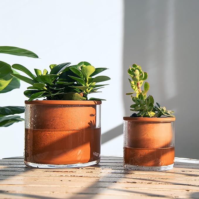 Phoenix Vine 4 Inch 6 Inch Self Watering Plants Pots, Design Terracotta Pots for Plants, Indoor Cylinder Terra Cotta Planter with Glass Vase Set, 51-A-G-46 - Bloomnest
