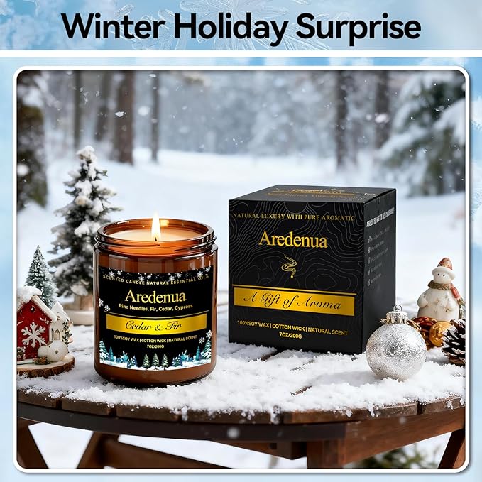 Winter Candles – Cedar & Fir Scented Candle | 7oz Soy Candles for Home Scented with 50H Burn - Evergreen Pine Christmas Candle for Home | Winter Aromatherapy Gifts for Women Men - Bloomnest