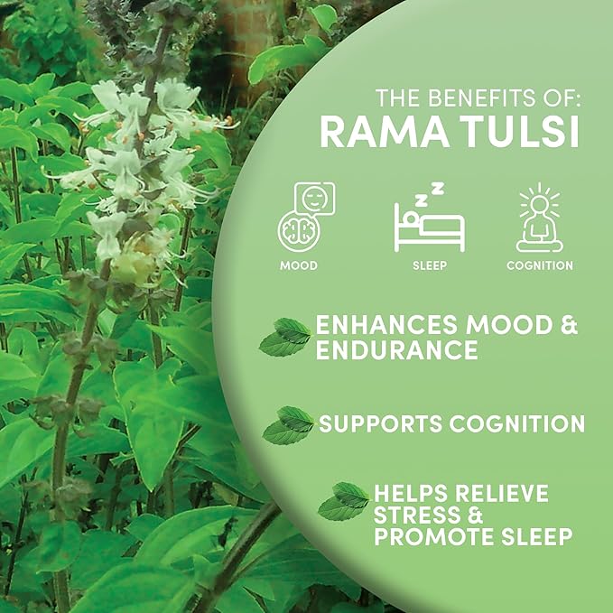 Worldwide Botanicals Organic Holy Basil Tea, 8oz - Tulsi Rama - Loose Leaf Premium Herbal Tea, 100% Pure Tulsi Holy Basil, Fair Trade, Adaptogenic, Kosher - Bloomnest