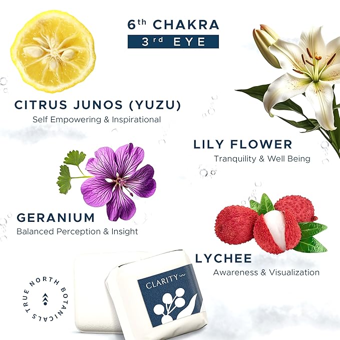 Large Shower Steamers (12 Pack-1.75oz Each) Chakra Aromatherapy Optimism & Self-Esteem-Ideal Men/Women/Teens Christmas & Birthdays (6th Chakra - Lychee, Yuzu, Geranium, & Lily) - Bloomnest