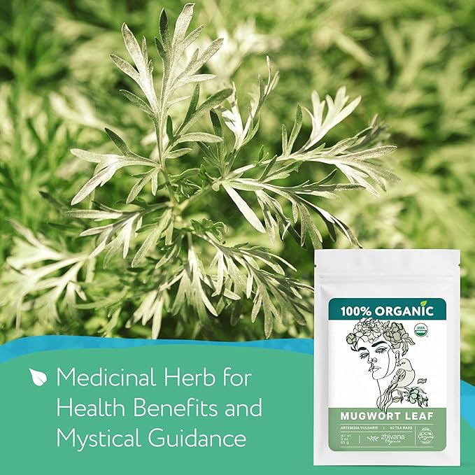 Organic Mugwort Tea Bags – Artemisia Tea for Digestive Health, Liver, Women Cycle, Relaxation – Make Herbal Infusion - 40 Teabags - Bloomnest