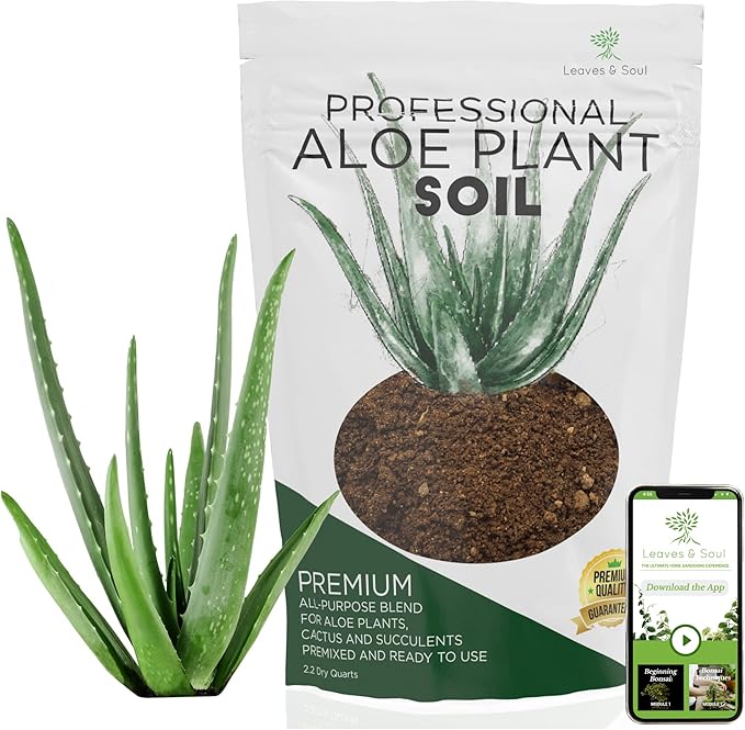 Professional Aloe Plant Soil | Premium All Purpose Blend | Large 2.2 Quarts | Ready to Use for Aloe, Cactus, Succulent Plants | Pinebark, Peat, Course Sand | Made in USA - Bloomnest