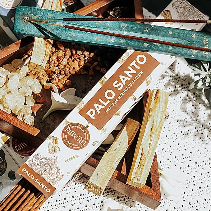 Classic Incense Sticks - Total 120 Insence-Sticks (20 Insense x 6 Inscents) - Inciensos Aromaticos Para La Casa Incents with Nag Champa Sage Palo Santo Frankincense Sandalwood Inscents-Sticks + Holder - Bloomnest