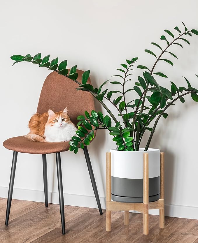 D'vine Dev Ceramic Planter with Natural Stand - 10 Inch Modern Round Flower Pot with Wood Planter Holder, White/Grey, 55-B-K-6 - Bloomnest