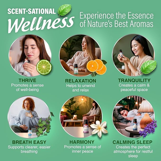 GuruNanda Essential Oil Blends (Set of 6) - Natural Essential Oil Set, Aromatherapy Oil Blends for Diffusers - Breathe Easy, Tranquility, Harmony, Calming Sleep, Relaxation & Thrive - Bloomnest