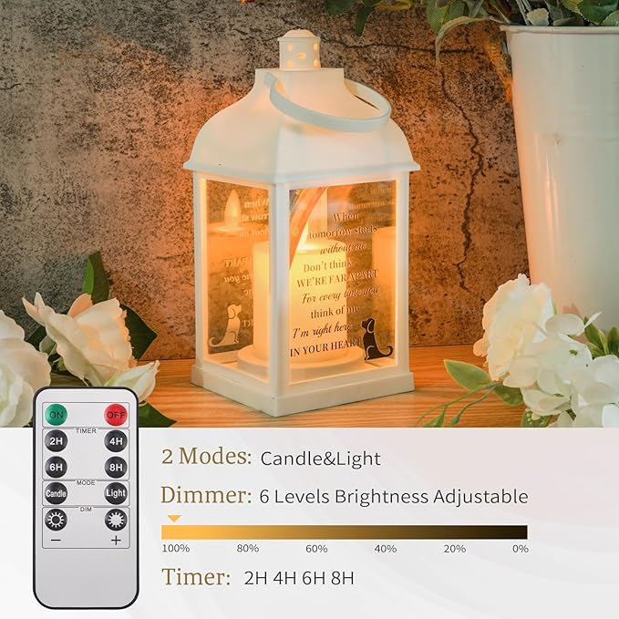 Dog Memorial Gifts with Remote - Sympathy Bereavement Gifts for Loss of Dog, Rainbow Bridge Memorial Lantern for Grieving Pet Owner - Bloomnest