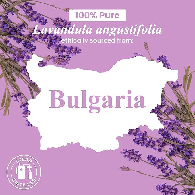 Handcraft Blends Lavender Angustifolia Essential Oil Gift Set – Huge 4 Fl Oz – 100% Pure & Natural – Premium Grade Essential Oil for Diffuser and Aromatherapy – Beautiful Gift Box Included - Bloomnest