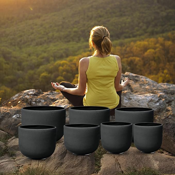 Ryan Dvan 7-12 Inch Black 7 Crystal Singing Bowl Set Frosted Quartz Crystal Sound Therapy Kit with Mallets 2 Cases O-Ring for Yoga Meditation Energy Balancing Reiki Healing - Bloomnest