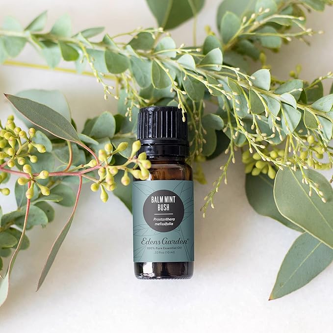 Edens Garden Balm Mint Bush Essential Oil- 100% Pure Premium Grade, Undiluted, Natural, Therapeutic, Aromatherapy, The Best for Diffuser, Skin, Laundry, Humidifiers 30 ml (1 fl oz) EdensGarden