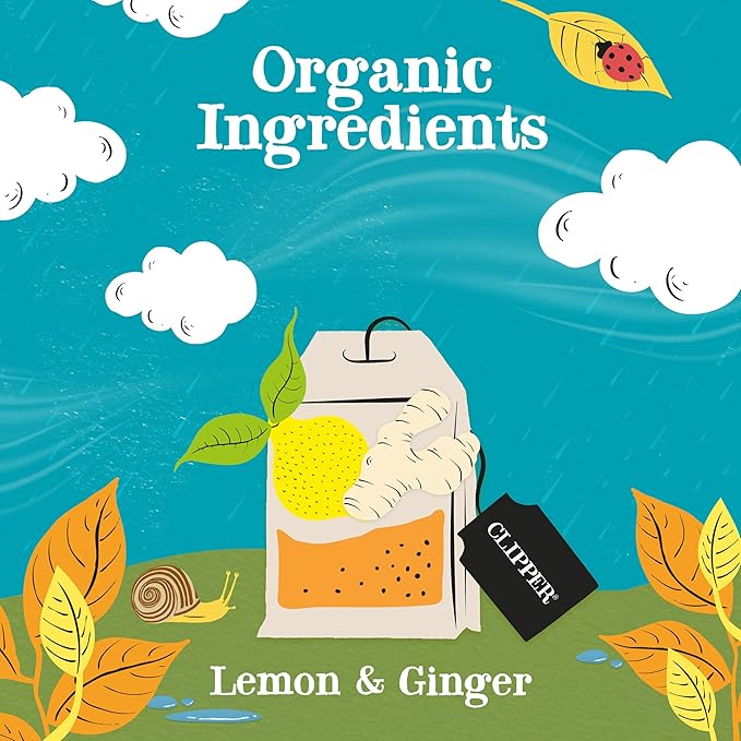 Clipper Tea Lemon & Ginger Teabags – Caffeine Free, USDA Organic, Great Hot or Iced – Aromatic, Natural, Fair & Delicious – 50 Tea Bags - Bloomnest