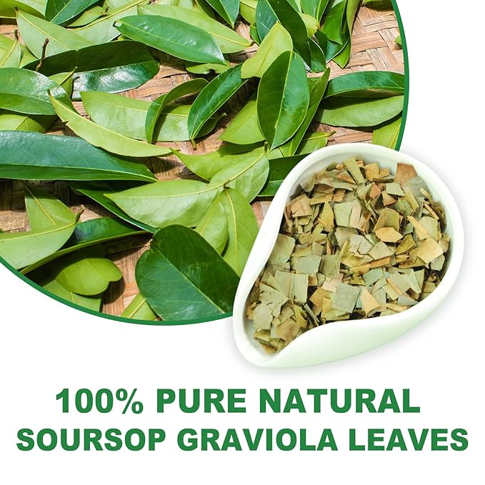 TEARELAE - Soursop Leaves Tea - 1.5g x 50 Count - 100% Pure Soursop Graviola Leaves Tea Bag - Country of Origin Thailand - Support Digestion & Rich In Nutrients - Bloomnest