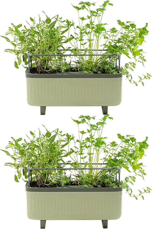 Vego Garden 2 Pack Herb Indoor Plant Box, Self Watering Planters Pots with Trellis for Kitchen Window Sill or Countertop Plants Cage - Sage Green - Bloomnest