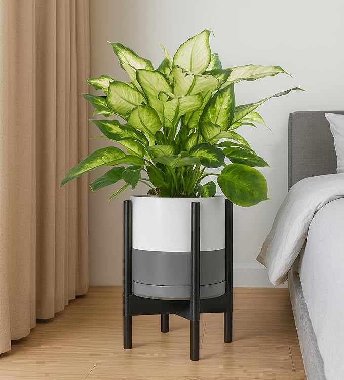 D'vine Dev Ceramic Planter with Ebony Stand - 10 Inch Modern Round Flower Pot with Wood Planter Holder, White/Grey, 55-B-L-6 - Bloomnest