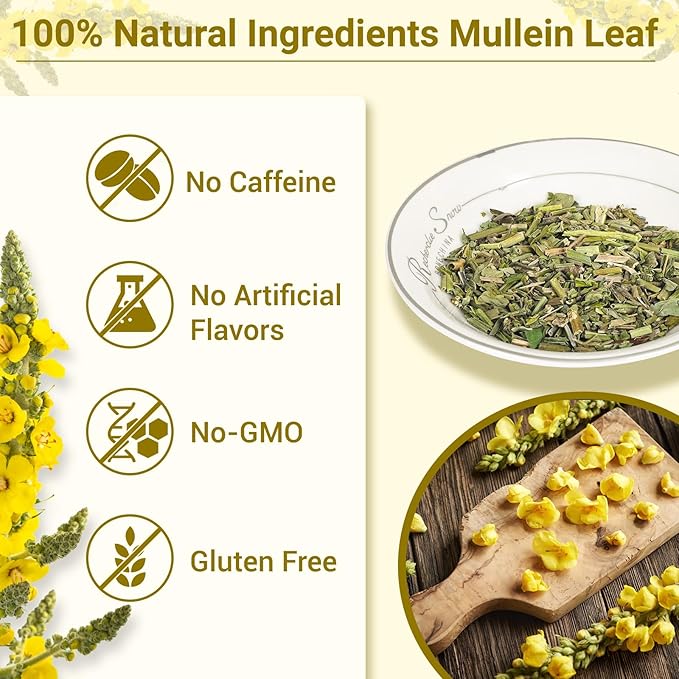 Mullein Tea Bags for Lungs, 100% Pure Mullein Leaf Tea for Lungs Cleanse and Respiratory Support, Caffeine Free, No Additives, Non-GMO (1 Pack/50 Bags) - Bloomnest