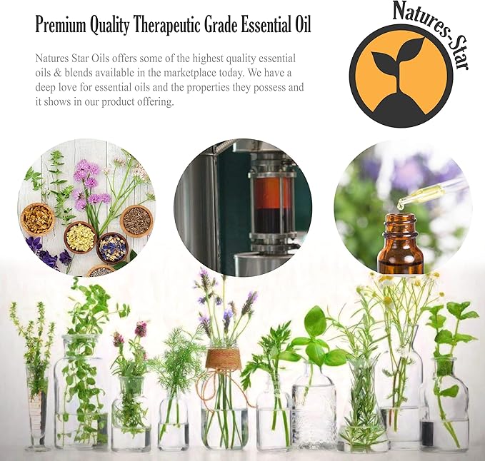 Peppermint Essential Oil, 4 Pack 16oz Each, 64oz Bulk, Therapeutic Grade Peppermint Essential Oil for Aromatherapy, Soap Making, Candles, Diffuser - Bloomnest