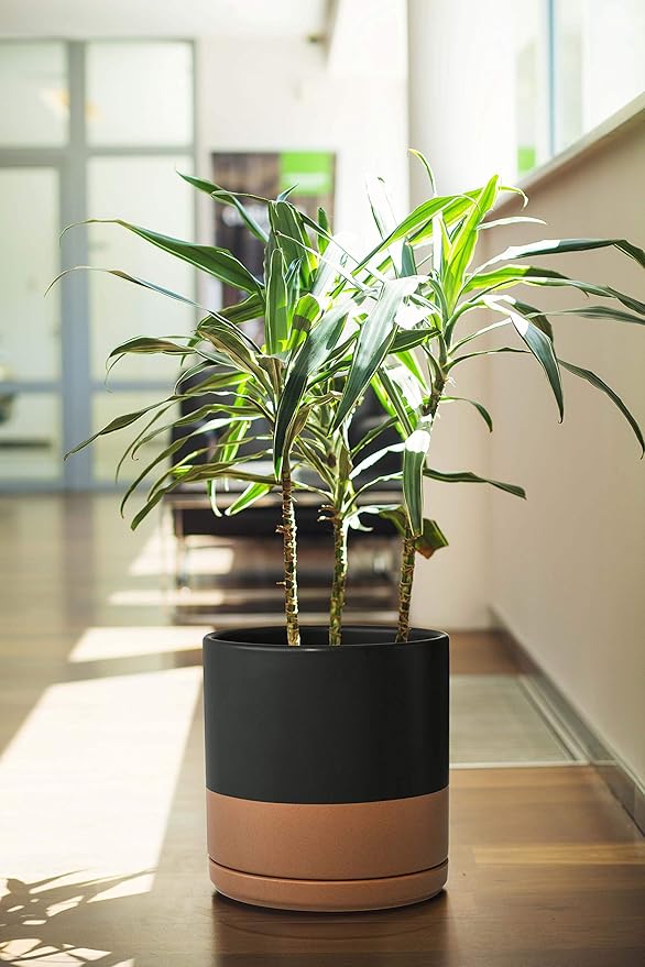 D'vine Dev Set of 2 Plants Pot, 10 Inch Ceramic Planter Pot for Plants with Drainage Hole and Saucer, Black/Speckled Tan, 94-V-E-7 - Bloomnest