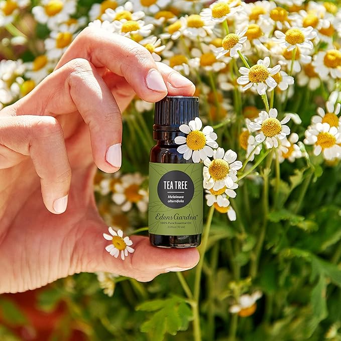 Edens Garden Tea Tree Essential Oil- 100% Pure Premium Grade, Undiluted, Natural, Therapeutic, Aromatherapy, The Best for Diffuser, Hair, Humidifiers, Kid Safe118 ml (4 fl oz) - Bloomnest