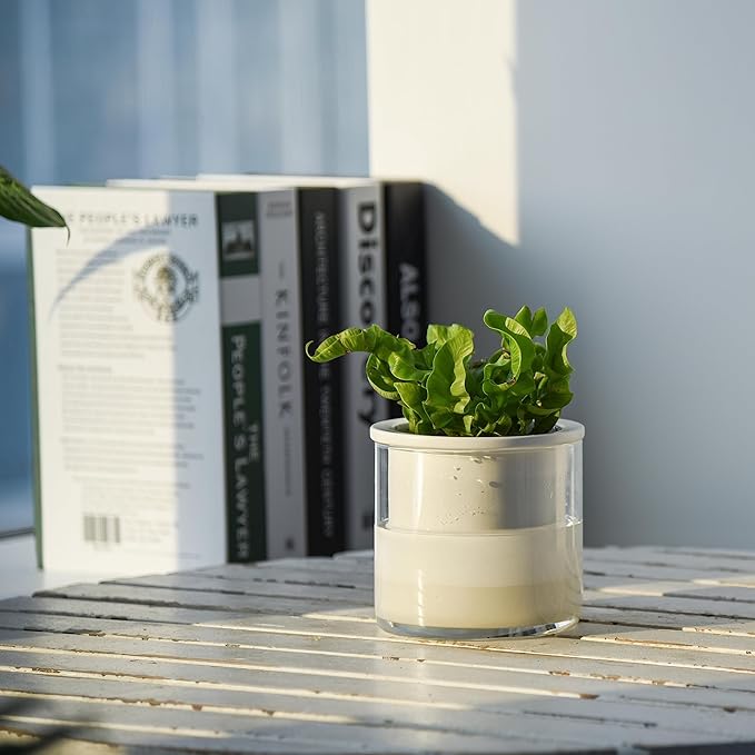 Phoenix Vine 4 Inch Self Watering Planter Pot, Design White Terracotta Pots for Plants, Indoor Cylinder Terra Cotta Pots with Glass Vase, Set of 4, 51-B-E-4 - Bloomnest