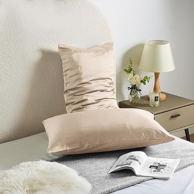 Silk Pillow Cases for Hair and Skin Mulberry Silk Pillowcase Soft Breathable Smooth Both Sided Natural Silk Pillowcase with Zipper Beauty Sleep Silk Pillow Case 1 Pack for Gift (Queen, Champagne) - Bloomnest