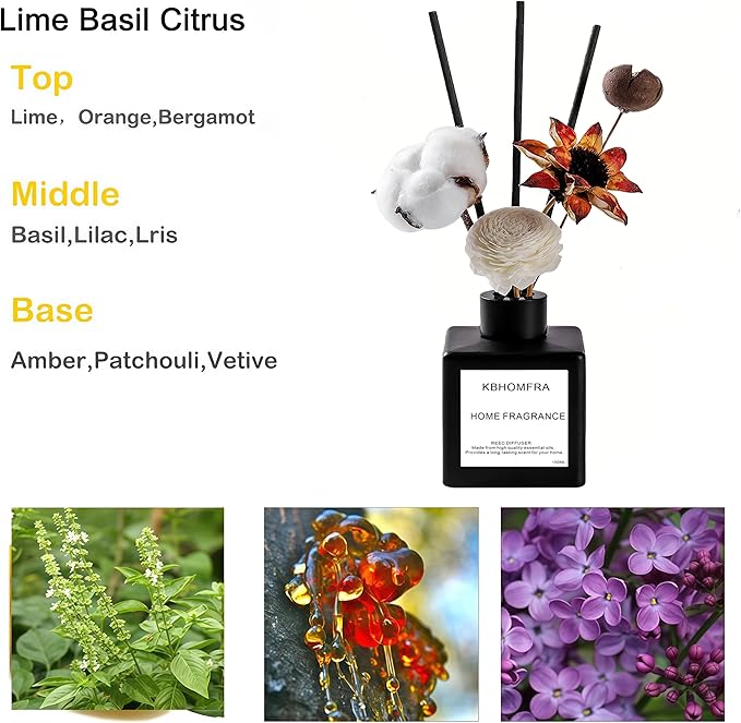 Reed Diffuser Set with Dried Flowers, Jasmine Gardenia Sandalwood Scent, Black Glass Bottle, 5.07fl oz, Aromatherapy Home Fragrance for Bedroom Bathroom (Lime Basil Citrus) - Bloomnest