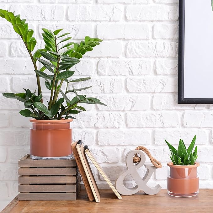 Phoenix Vine 4 Inch 6 Inch Self Watering Plants Pots, Design Terracotta Pots for Plants, Indoor Cylinder Terra Cotta Planter with Glass Vase Set, 51-A-G-46 - Bloomnest