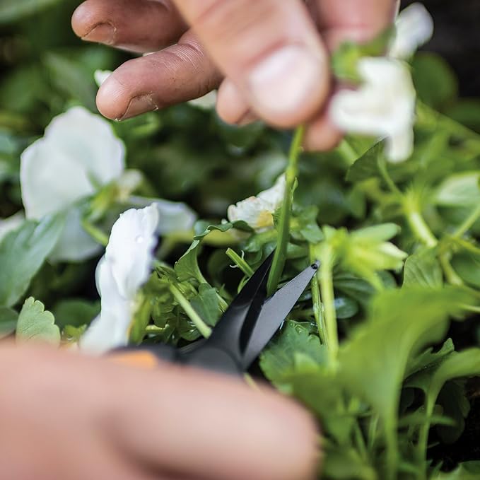 Fiskars Pruning Snips - 6" Garden Shears with Comfort Grip and Spring Action - Sharp and Precise Non-Stick Steel Blades - Quality Pruning Shears for Plants in Grow Tents and Hydroponics - 2 Pack - Bloomnest
