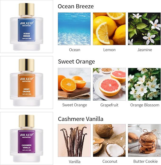 Airkeep Reed Diffuser Set of 3, Ocean Breeze Sweet Orange Cashmere Vanilla Oil Reed Diffusers for Bedroom Living Room Office Aromatherapy Oil Reed Diffuser for Gift 50ml x 3 - Bloomnest
